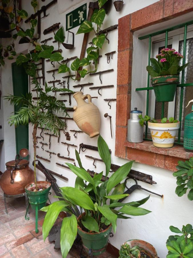 Appartement Casa Museo Jerez Centro à Jerez de la Frontera Extérieur photo